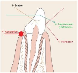 figure1